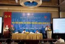 HANCORP ĐẶT MỤC TIÊU TĂNG TRƯỞNG DƯƠNG TRONG NĂM 2017 Ông Bùi Xuân Dũng - Chủ tịch HĐQT Tổng Công ty trình bày báo cáo tại đại hội