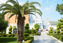 Khám phá Top 8 mẫu thiết kế sân vườn tạo không gian sống lý tưởng