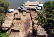 Vựa cừ tràm uy tín tại Thành phố Hồ Chí Minh