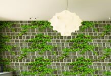 Giấy dán tường hoa lá thiên nhiên đang là xu hướng lựa chọn ưu tiên