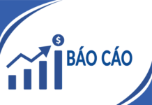 Báo cáo riêng và báo cáo hợp nhất quý II năm 2021 của Tổng công ty xây dựng Hà Nội – CTCP