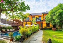 Đơn giá thiết kế biệt thự sân vườn sang trọng và đẳng cấp thiết kế biệt thự sân vườn